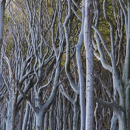 Gartenzimmer Lejlighed Rostock