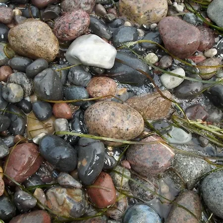 Gartenzimmer Lägenhet *